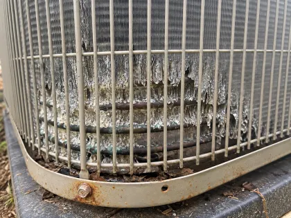 corroded bottom rows above the base pan