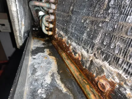 fouled, wet evaporator fins